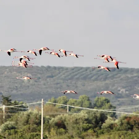 Casa Rilu Σπίτι διακοπών