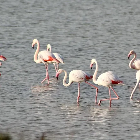 Σπίτι διακοπών Casa Rilu