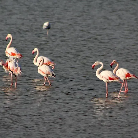 Casa Rilu Σπίτι διακοπών