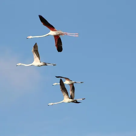 Σπίτι διακοπών Casa Rilu