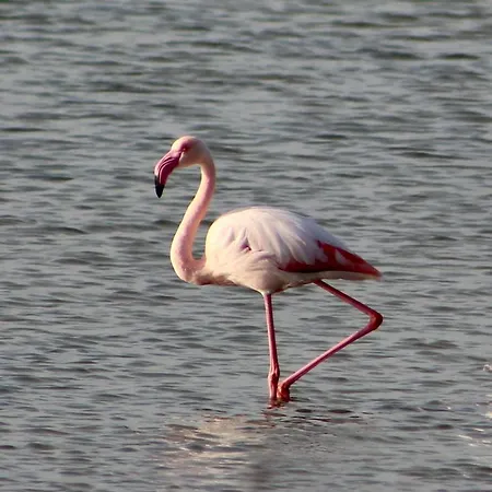 Casa vacanze Casa Rilù