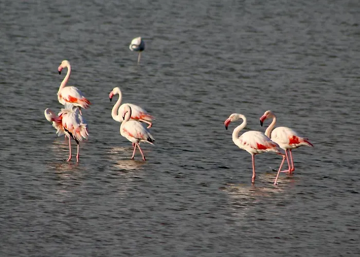 Casa Rilu Holiday home